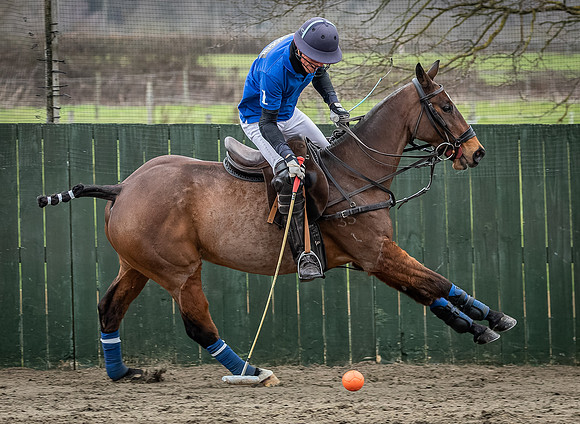 Arena Gold Cup 2023-181