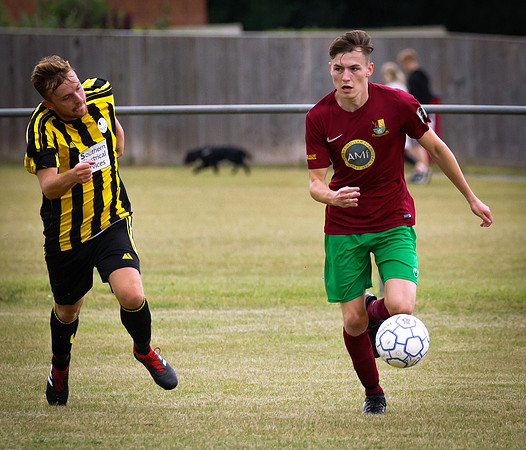 Wasps10