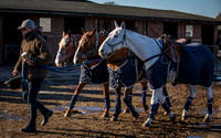 Polo Club-18