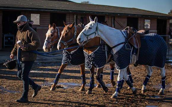 Polo Club-18