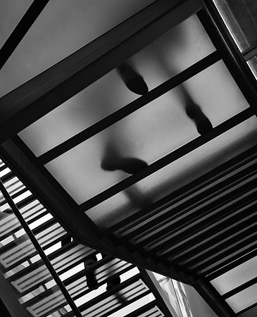 Shadows-28