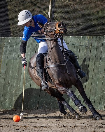 The Arena Gold Cup Final 2025-36