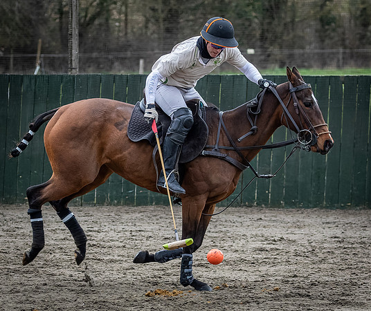 Arena Gold Cup 2023-160