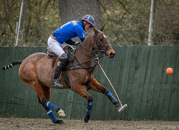 Arena Gold Cup 2023-180
