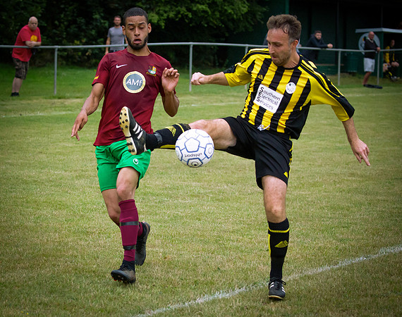 Wasps26