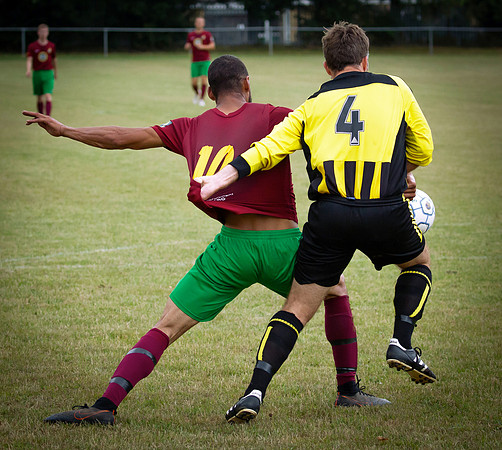 Wasps14
