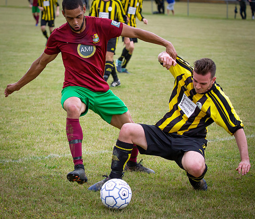 Wasps13