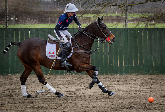 Arena Gold Cup 2023-26