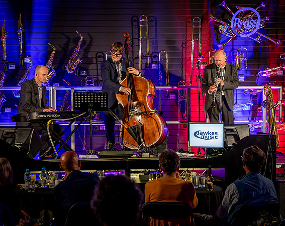 Alan Barnes Trio-14