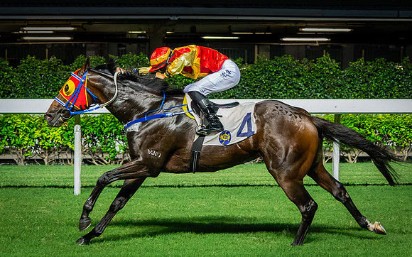 Horse racing-12