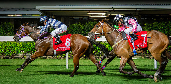 Horse racing-24