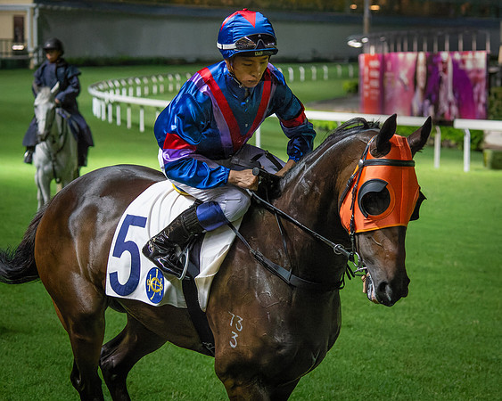 Horse racing-8