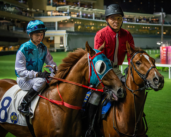 Horse racing-9