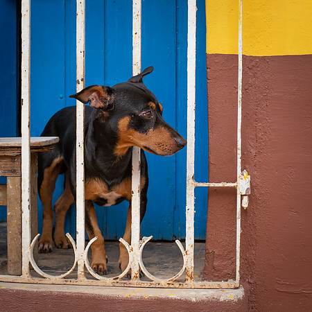 cuba-111