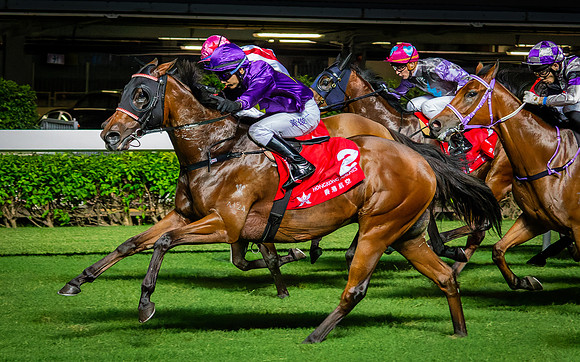 Horse racing-17