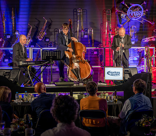 Alan Barnes Trio-13