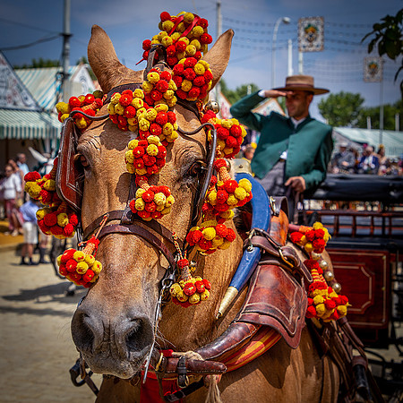 Seville-151