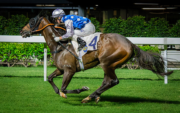 Horse racing-15