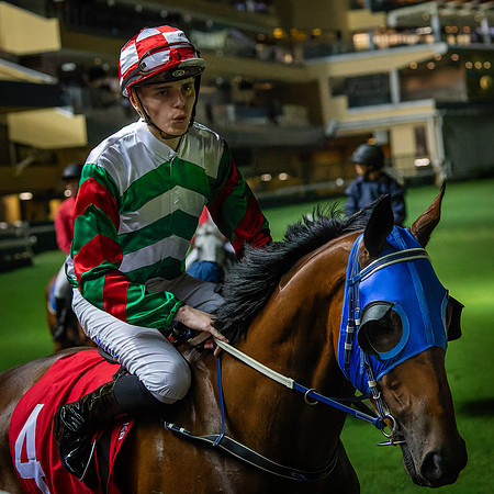 Horse racing-18