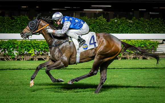 Horse racing-14