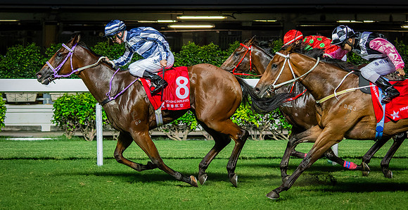 Horse racing-23