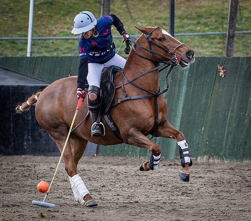 Arena Gold Cup 2023-19