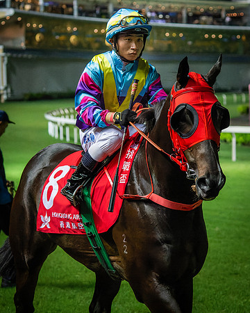 Horse racing-16