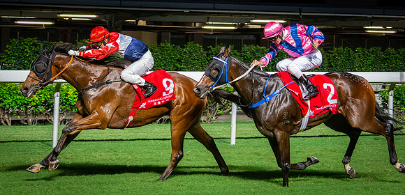 Horse racing-4