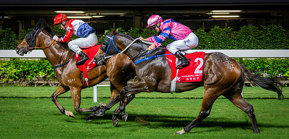 Horse racing-5
