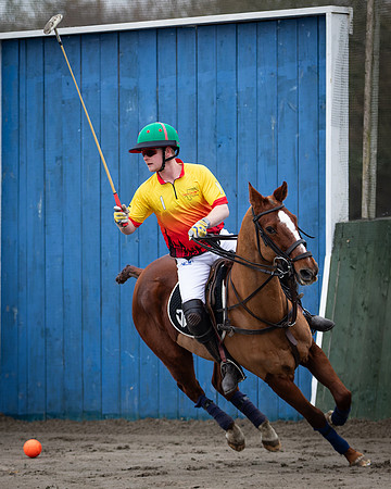 HPA Subsidiary Final-93