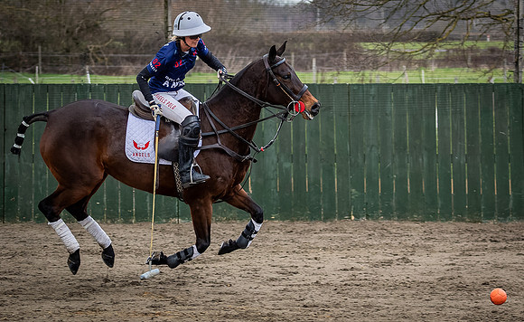 Arena Gold Cup 2023-25
