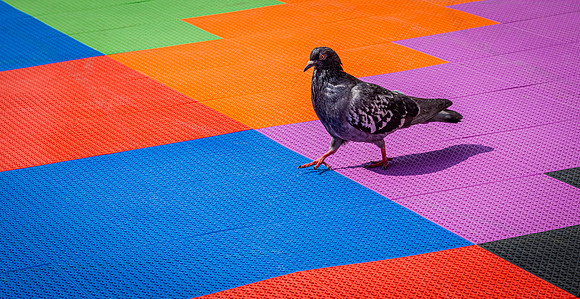 London Colour-4