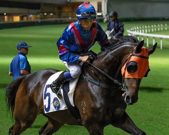 Horse racing-7