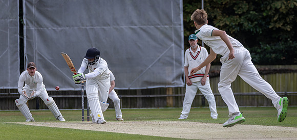 Miles Cricket-14