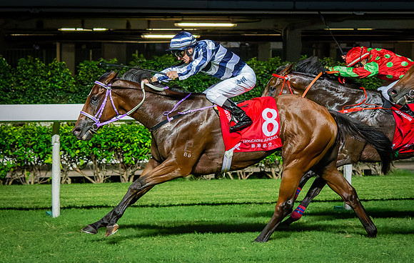 Horse racing-22
