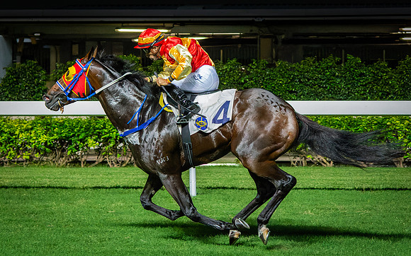 Horse racing-13