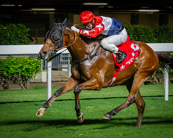 Horse racing-3