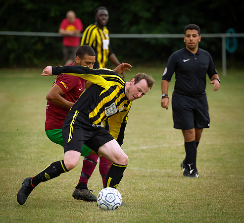 Wasps17