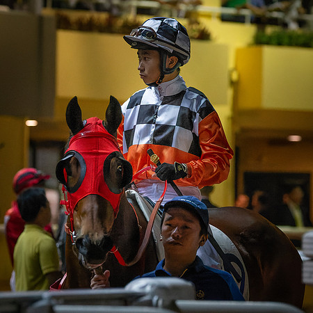Horse racing-6
