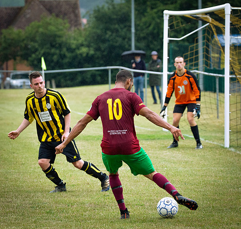 Wasps30