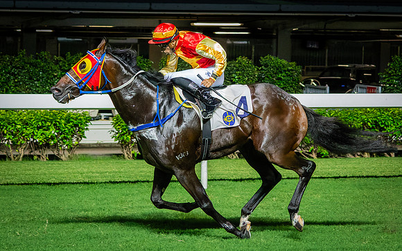 Horse racing-11