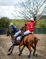 Arena Gold Cup 2023-11