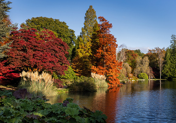 Sheffield Park-6
