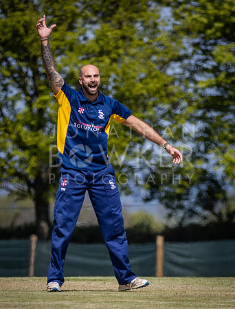 T20 Cricket-14
