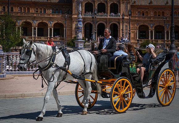 Seville-225